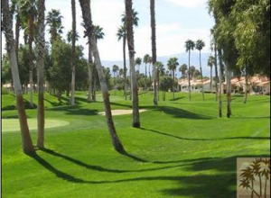 The Palms La Quinta Homes For Sale