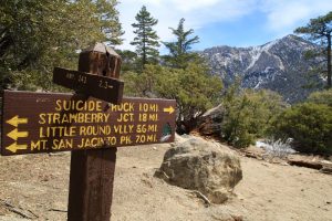 Hiking Trails in Idyllwild