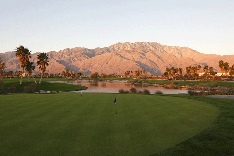 palmspringsnl - palmspringsluxuryrealty.com