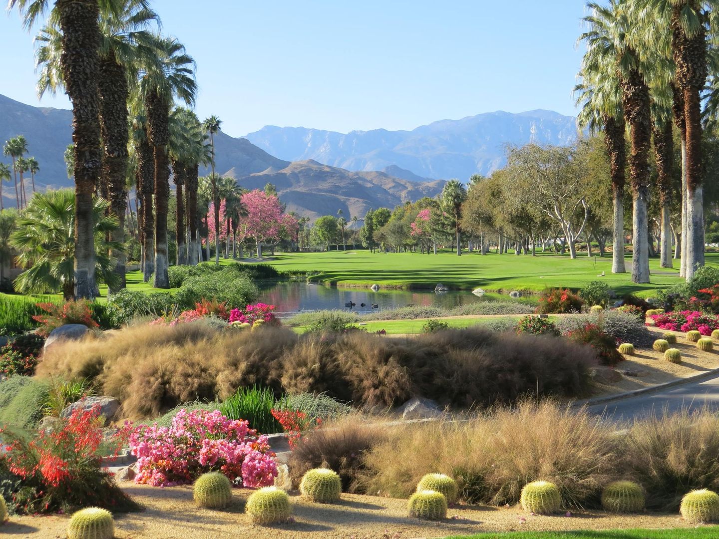 Thunderbird Terrace Homes for Sale Rancho Mirage